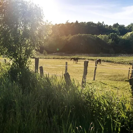 De Ole School Ferienapartments Maisonette-apartment 11 , Huus Brekers Hohwacht
