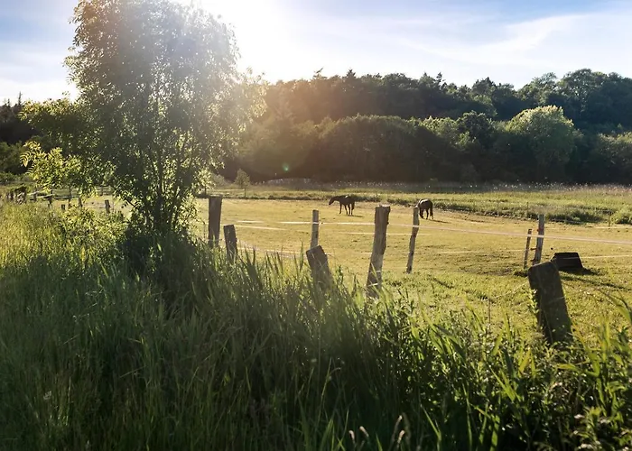De Ole School Ferienapartments Maisonette-apartment 11 , Huus Brekers Hohwacht
